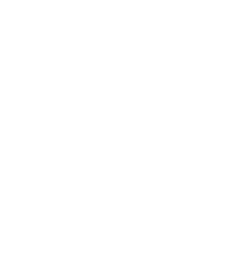 DeepShift AI Logo